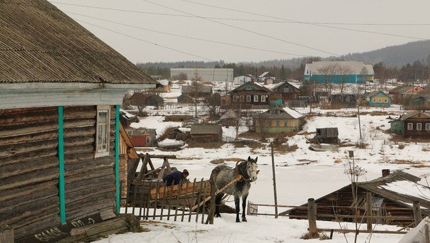 Село Нюхча